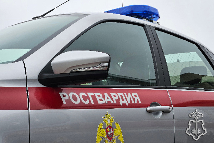 На Ставрополье росгвардейцы предотвратили кражу в крупном торговом комплексе