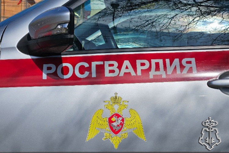 Подозреваемых в групповом грабеже задержали росгвардейцы в Светлограде