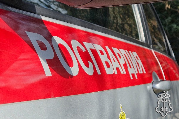 В Невинномысске росгвардейцы пресекли хулиганские действия