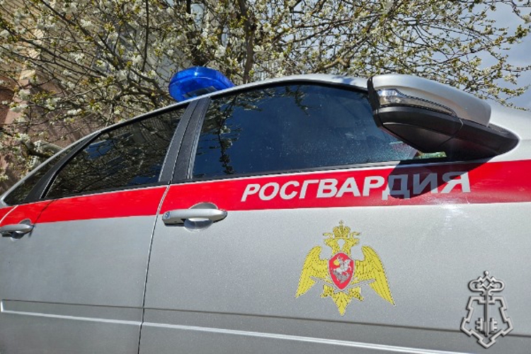 В Зеленокумске росгвардейцы по горячим следам задержали злоумышленника