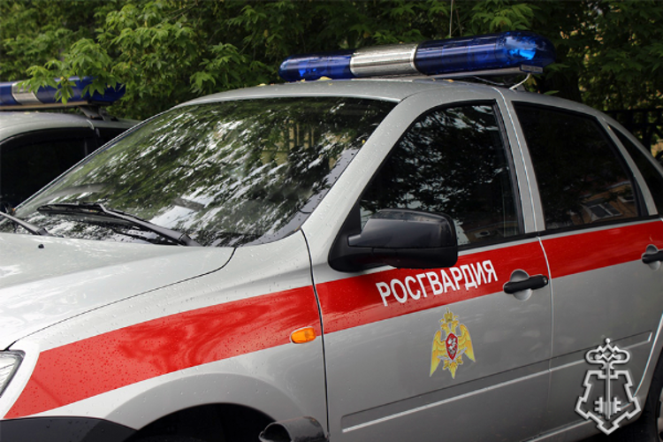 На Ставрополье росгвардейцы пресекли массовую драку