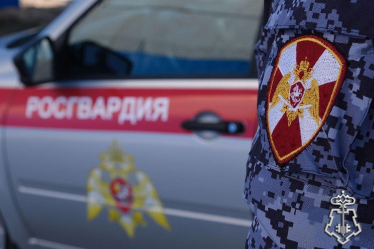 В Шпаковском округе росгвардейцы задержали граждан, похитивших товар из торговой точки