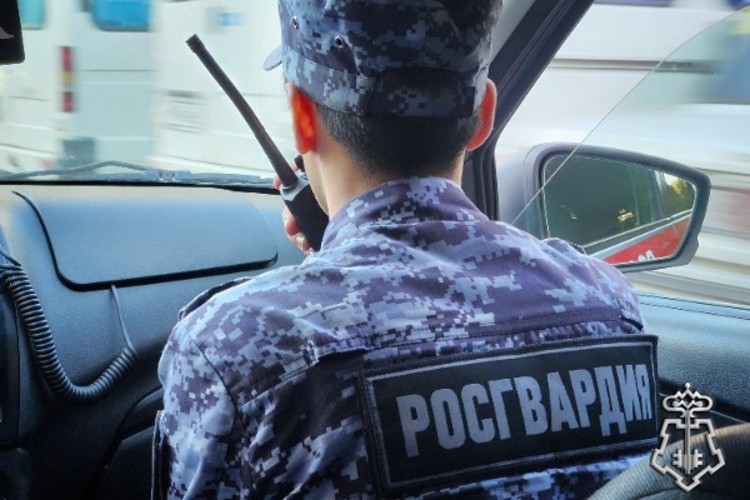 Росгвардейцы задержали правонарушителя в гипермаркете Железноводска